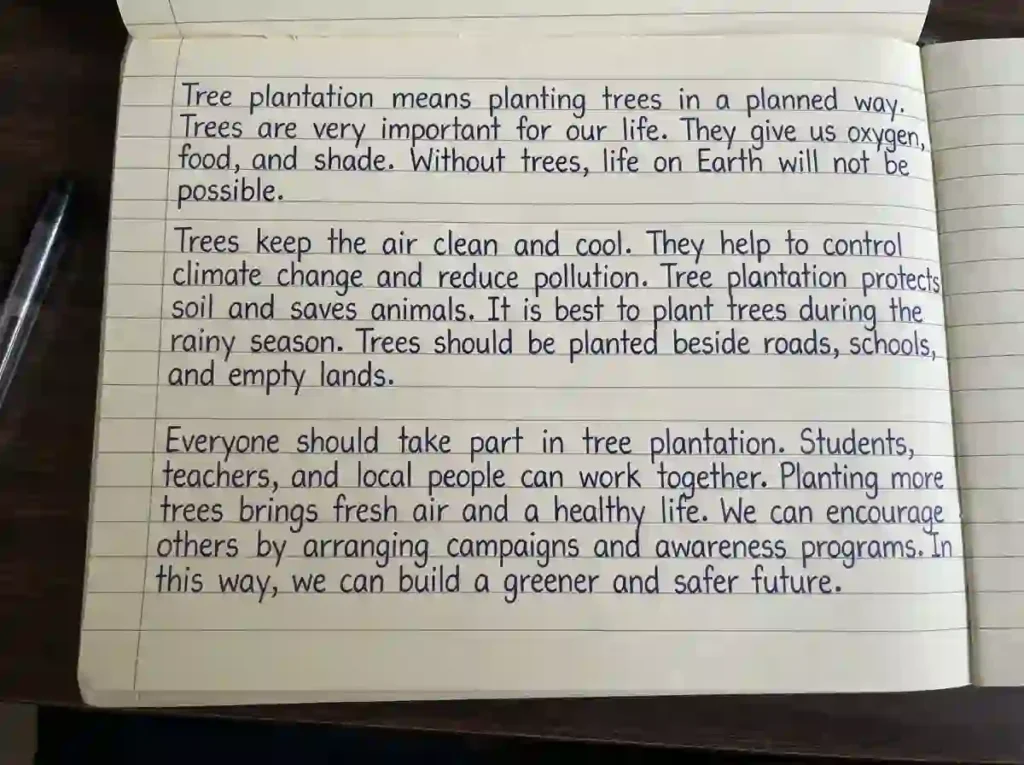 Tree Plantation Paragraph