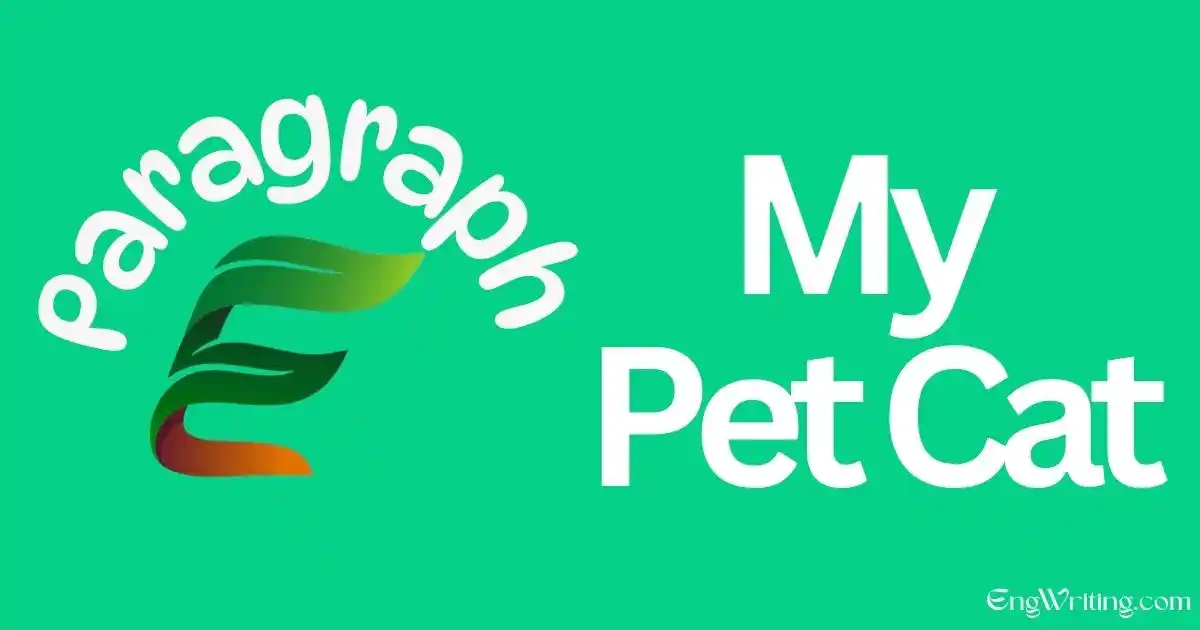 My Pet Cat